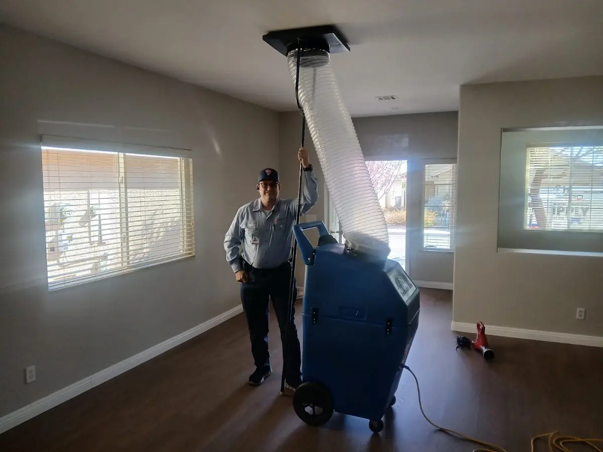 Professional Dryer Vent Cleaning work inside a Willowick home